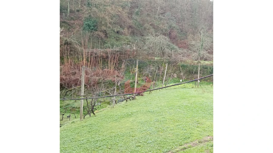 Terreno para Venda em Cinfães Foto 20