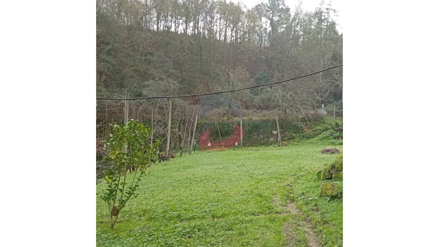 Terreno para Venda em Cinfães Foto 22