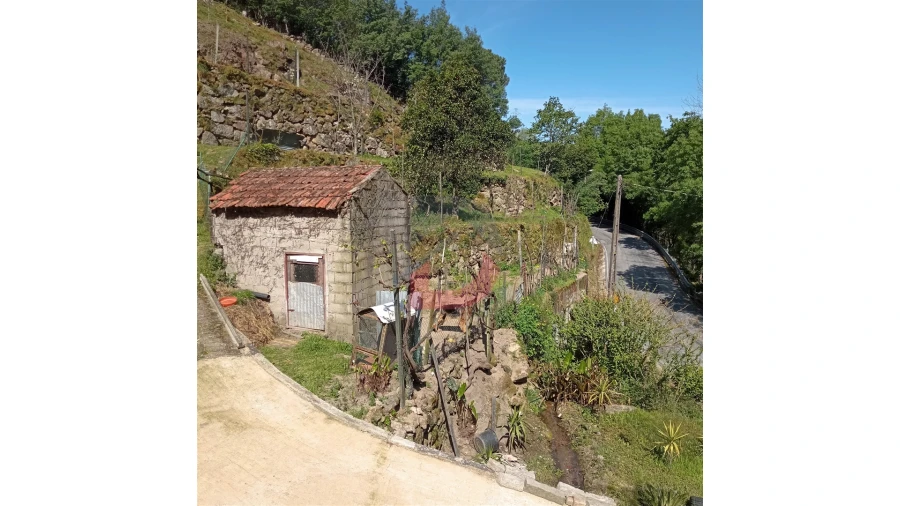 Terreno para Venda em Cinfães Foto 1