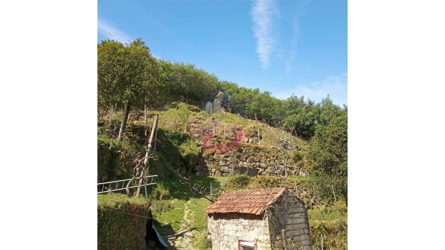 Terreno para Venda em Cinfães Foto 2