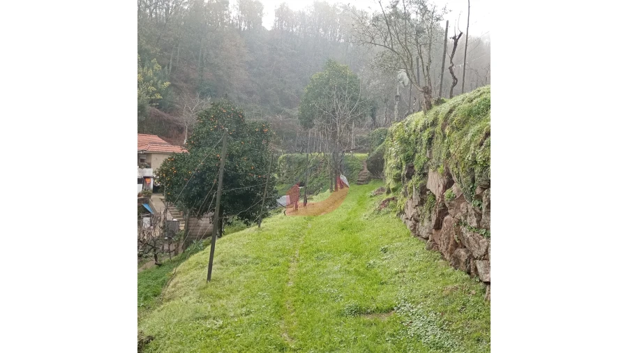 Terreno para Venda em Cinfães Foto 7