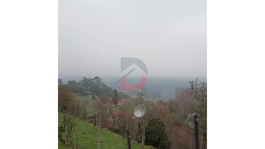 Terreno para Venda em Cinfães Foto 12