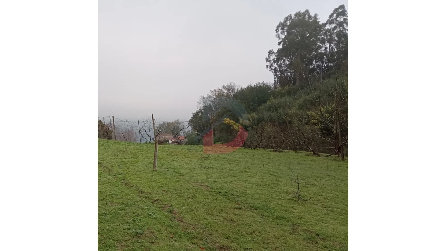 Terreno para Venda em Cinfães Foto 15