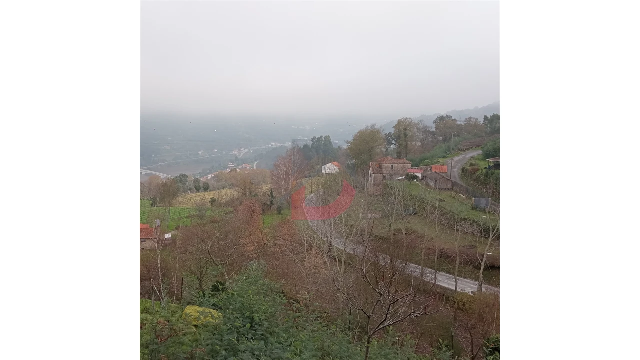 Terreno para Venda em Cinfães Foto 16