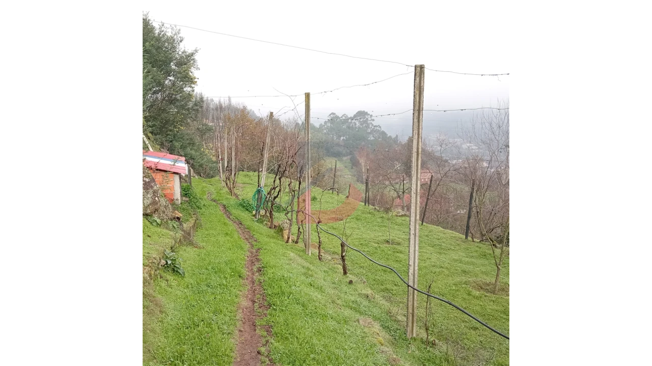 Terreno para Venda em Cinfães Foto 10