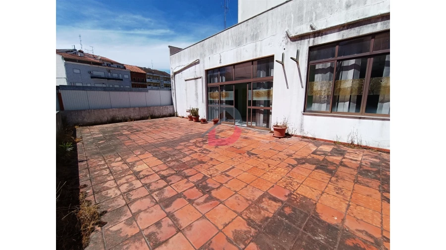 Loja para Venda em Proença-A-Nova e Peral Foto 11