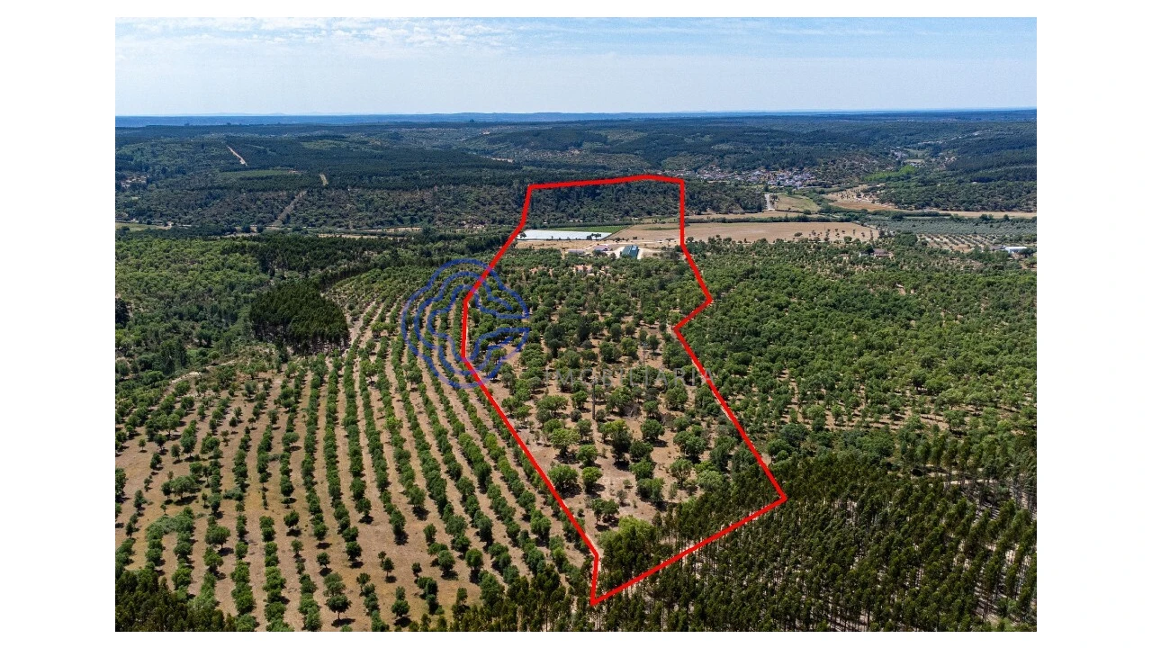 Quinta T3 para Venda em São Facundo e Vale das Mós Foto 42