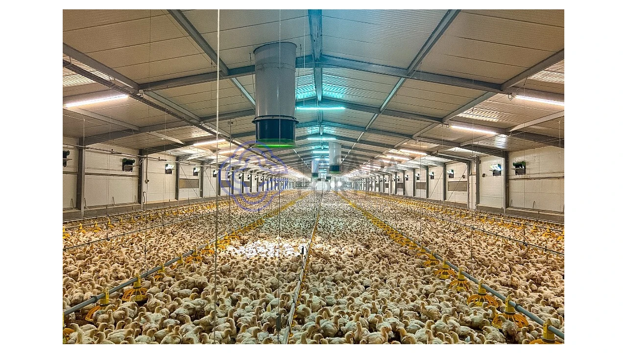 Quinta T3 para Venda em São Facundo e Vale das Mós Foto 44