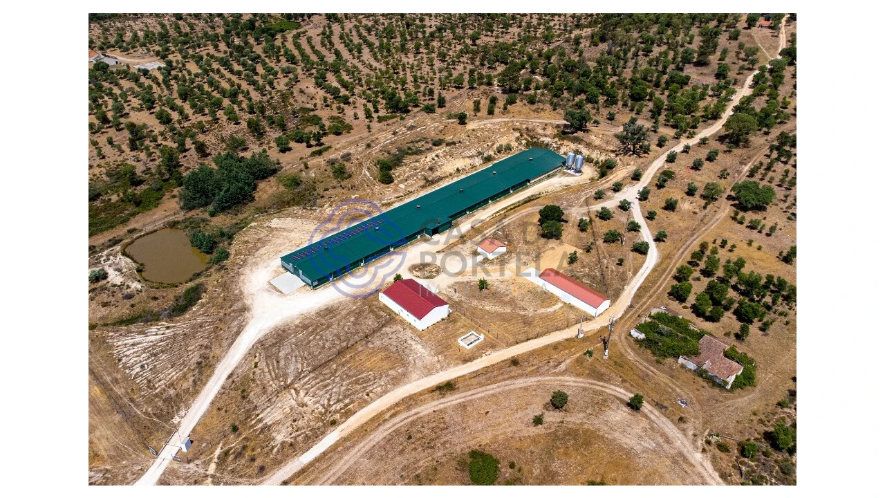 Quinta T3 para Venda em São Facundo e Vale das Mós Foto 6