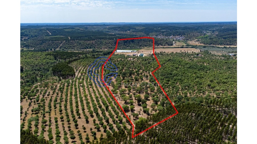 Quinta T3 para Venda em São Facundo e Vale das Mós Foto 42