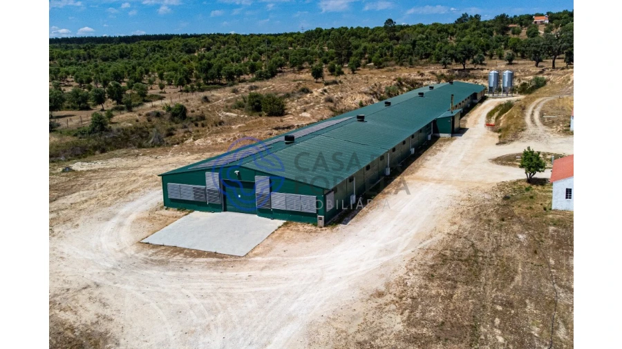 Quinta T3 para Venda em São Facundo e Vale das Mós Foto 2