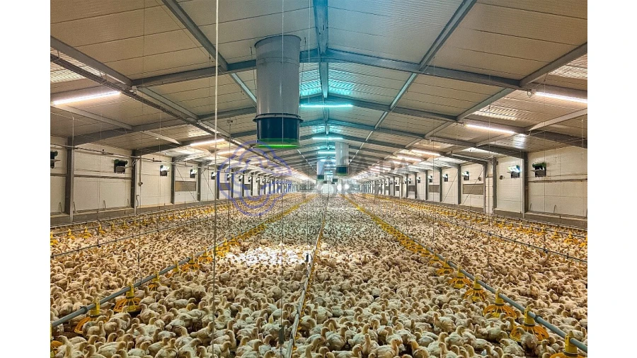 Quinta T3 para Venda em São Facundo e Vale das Mós Foto 44