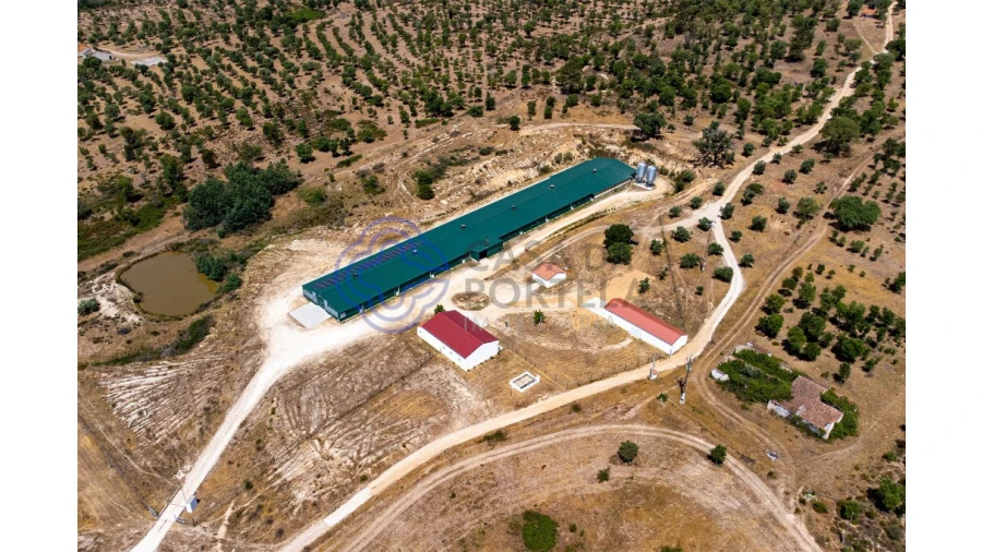 Quinta T3 para Venda em São Facundo e Vale das Mós Foto 6