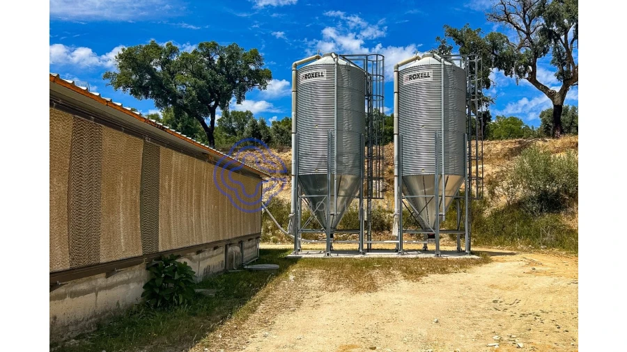 Quinta T3 para Venda em São Facundo e Vale das Mós Foto 48