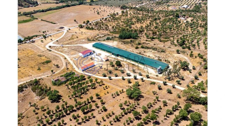 Quinta T3 para Venda em São Facundo e Vale das Mós Foto 1