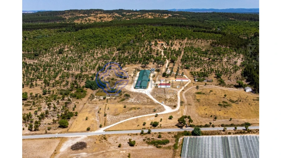 Quinta T3 para Venda em São Facundo e Vale das Mós Foto 5
