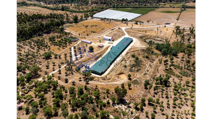 Quinta T3 para Venda em São Facundo e Vale das Mós Foto 8