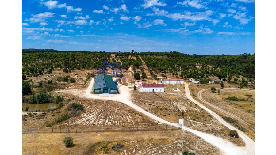 Quinta T3 para Venda em São Facundo e Vale das Mós Foto 4