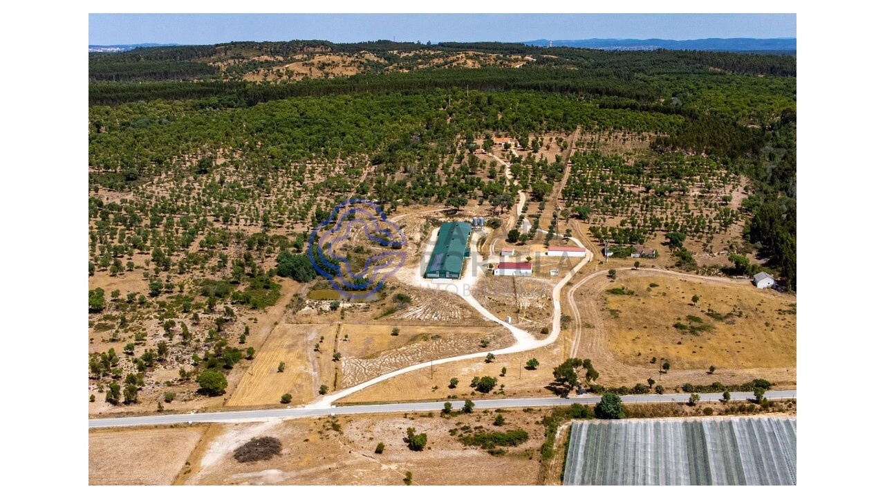 Quinta T3 para Venda em São Facundo e Vale das Mós Foto 5