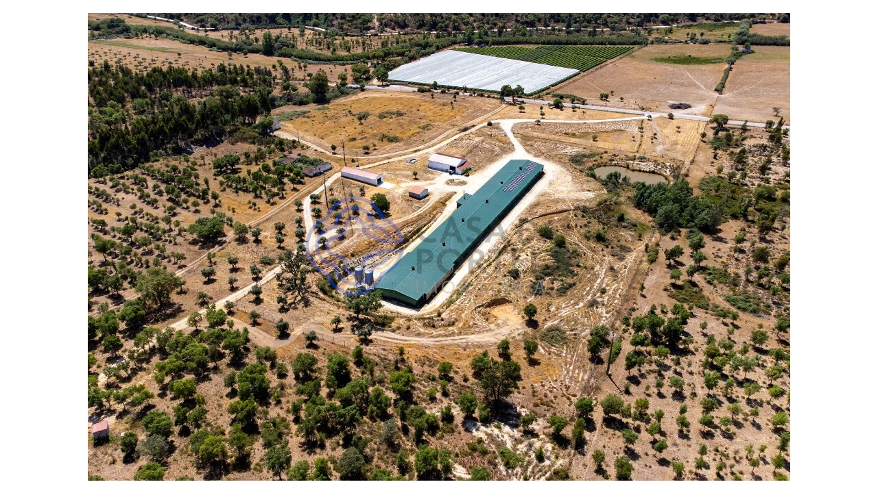 Quinta T3 para Venda em São Facundo e Vale das Mós Foto 8