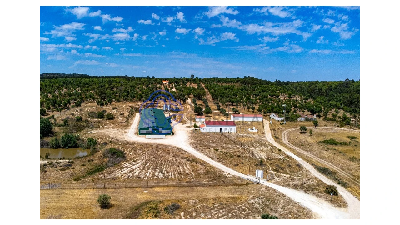 Quinta T3 para Venda em São Facundo e Vale das Mós Foto 4