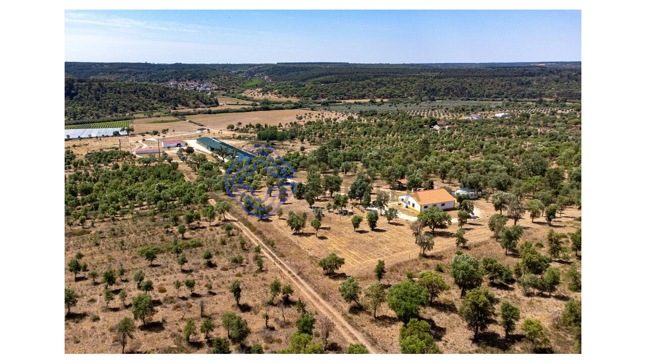 Quinta T3 para Venda em São Facundo e Vale das Mós Foto 43