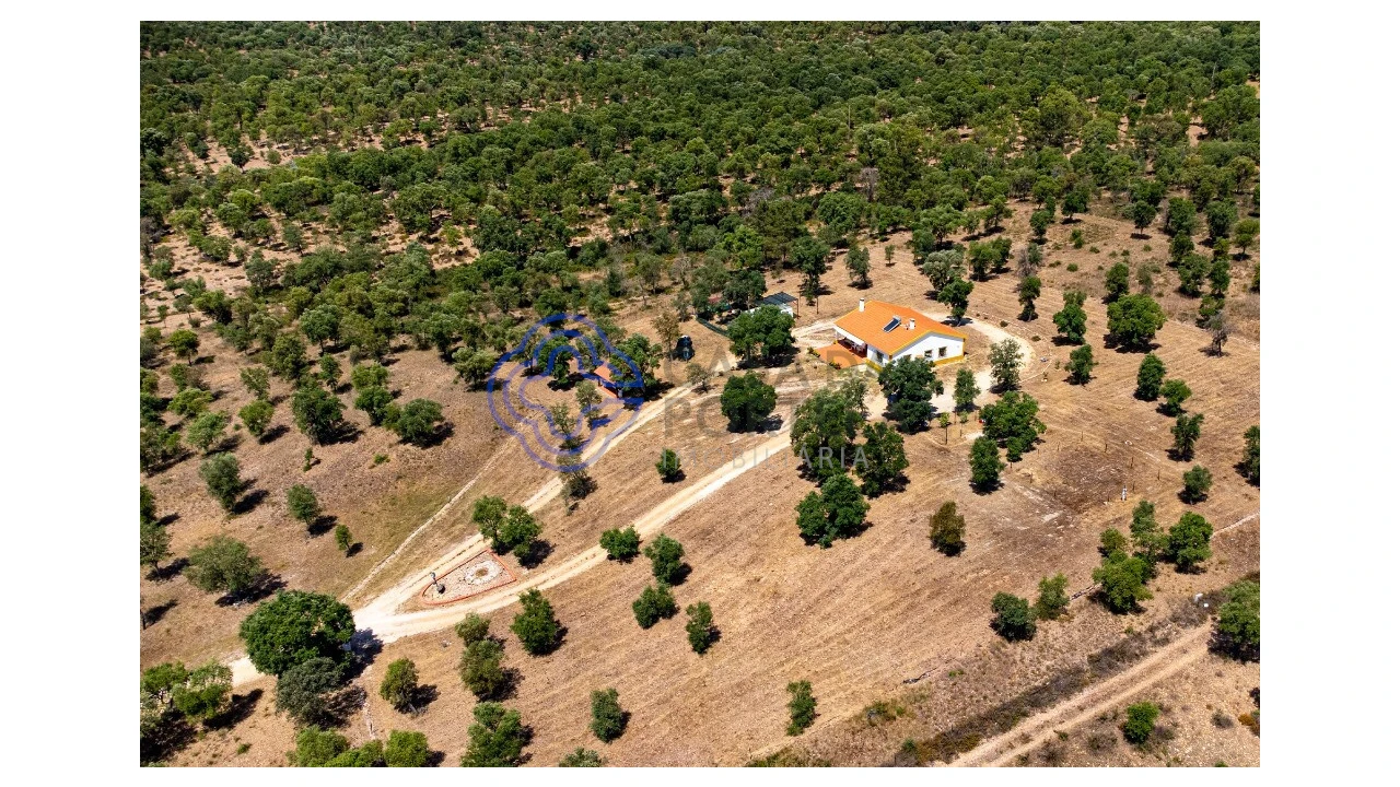 Quinta T3 para Venda em São Facundo e Vale das Mós Foto 9