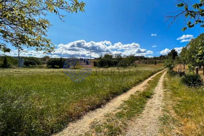 Quinta T4 para Venda em Carrazedo de Montenegro e Curros