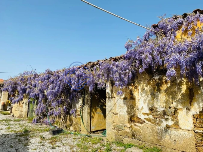 Quinta T4 para Venda em Carrazedo de Montenegro e Curros Foto 52