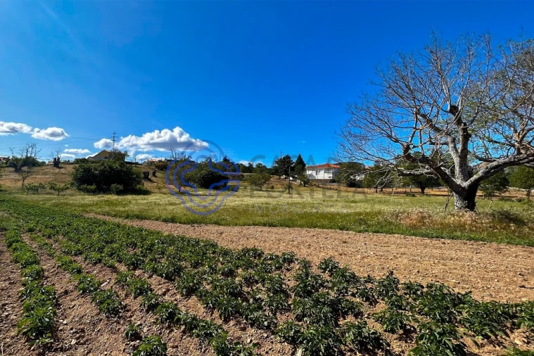 Quinta T4 para Venda em Carrazedo de Montenegro e Curros Foto 74