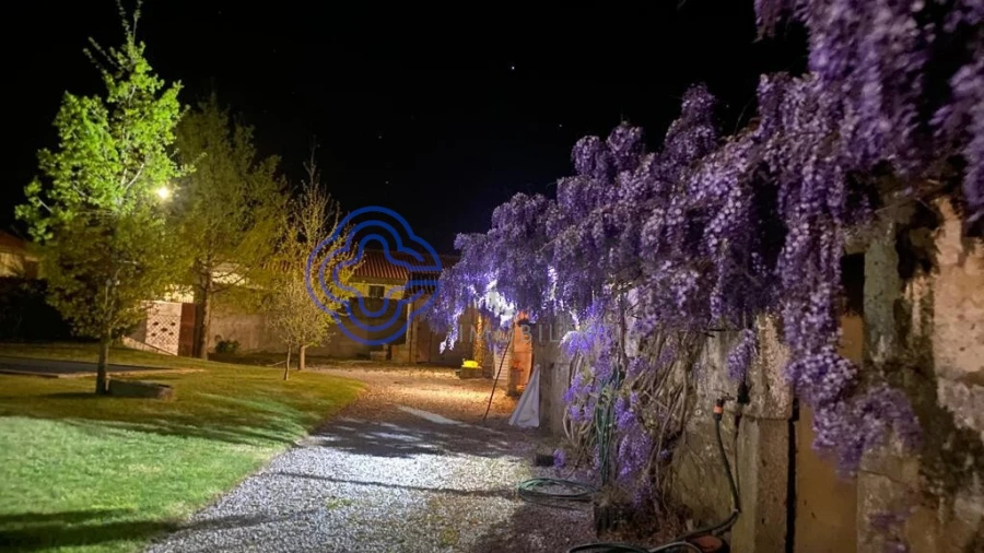 Quinta T4 para Venda em Carrazedo de Montenegro e Curros Foto 53