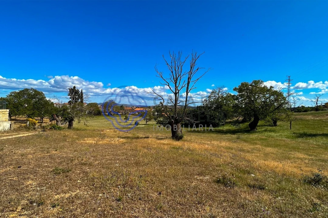 Quinta T4 para Venda em Carrazedo de Montenegro e Curros Foto 69