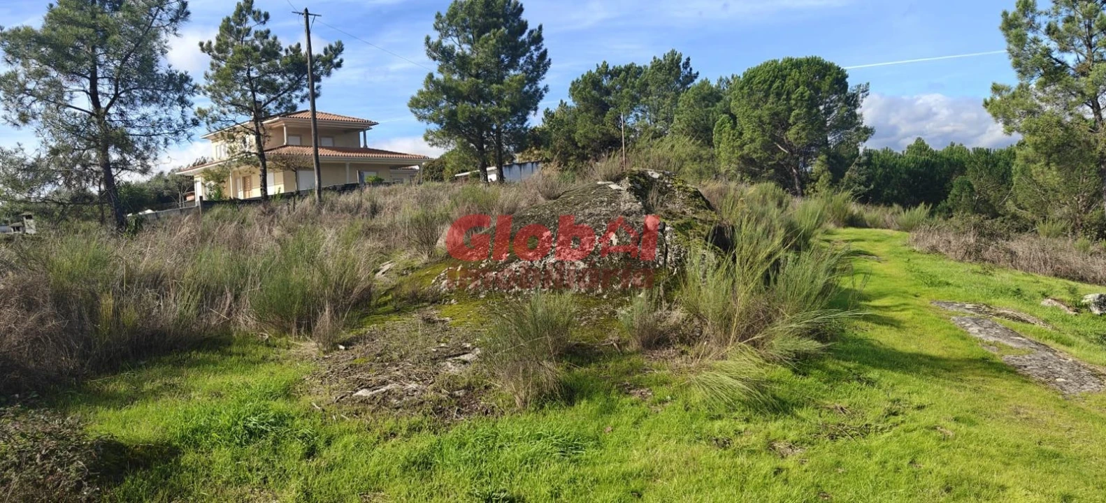 Terreno para Venda em São João de Lourosa Foto 1