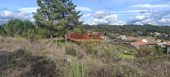 Terreno para Venda em São João de Lourosa