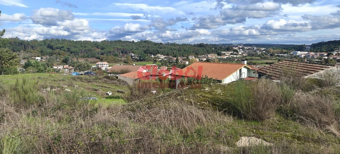 Terreno para Venda em São João de Lourosa Foto 2