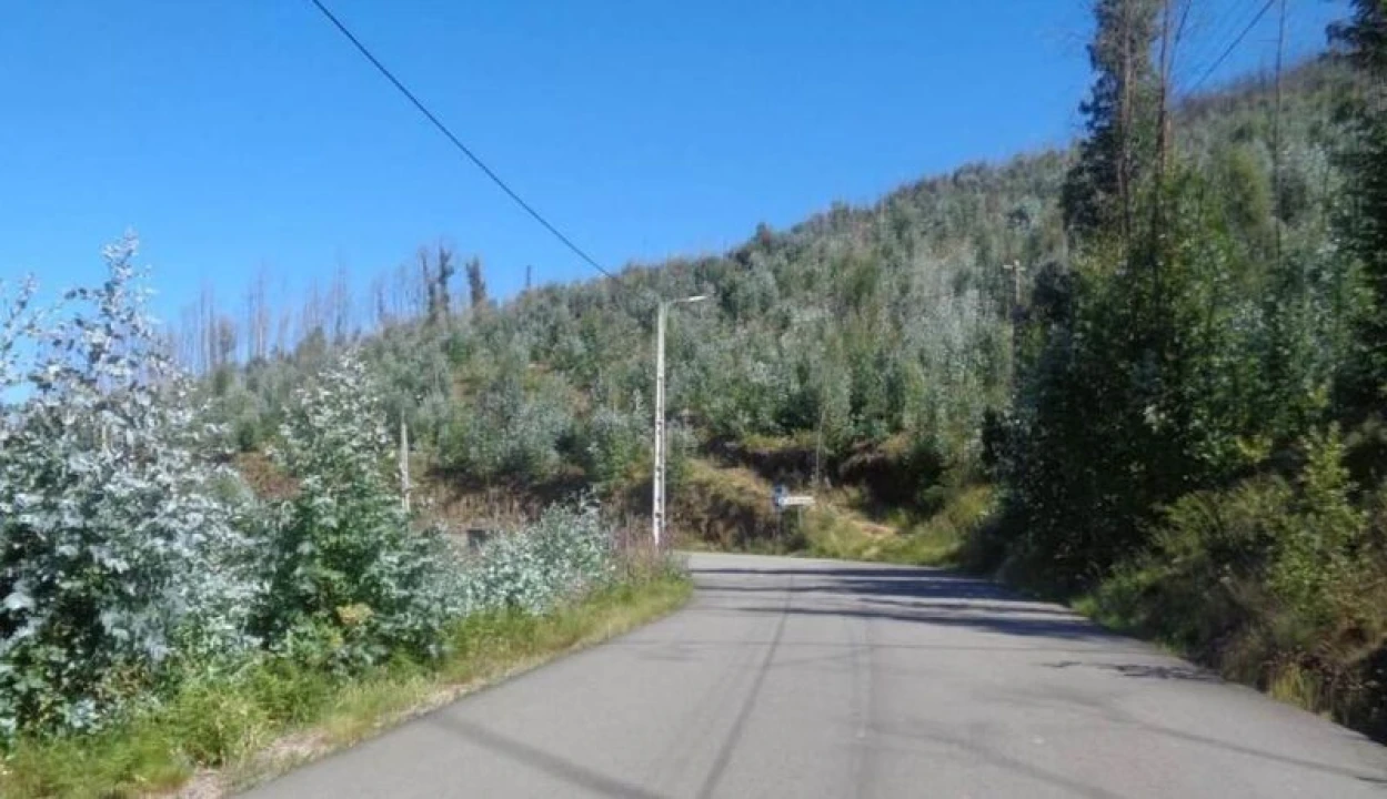 Terreno para Venda em Raiva, Pedorido e Paraíso Foto 6