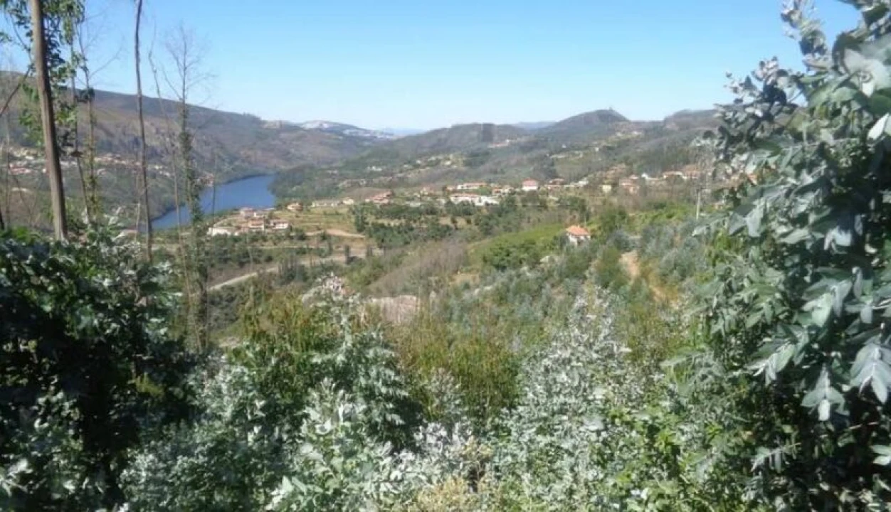 Terreno para Venda em Raiva, Pedorido e Paraíso Foto 8