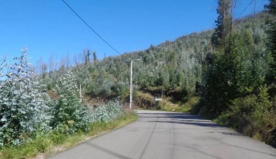 Terreno para Venda em Raiva, Pedorido e Paraíso Foto 6