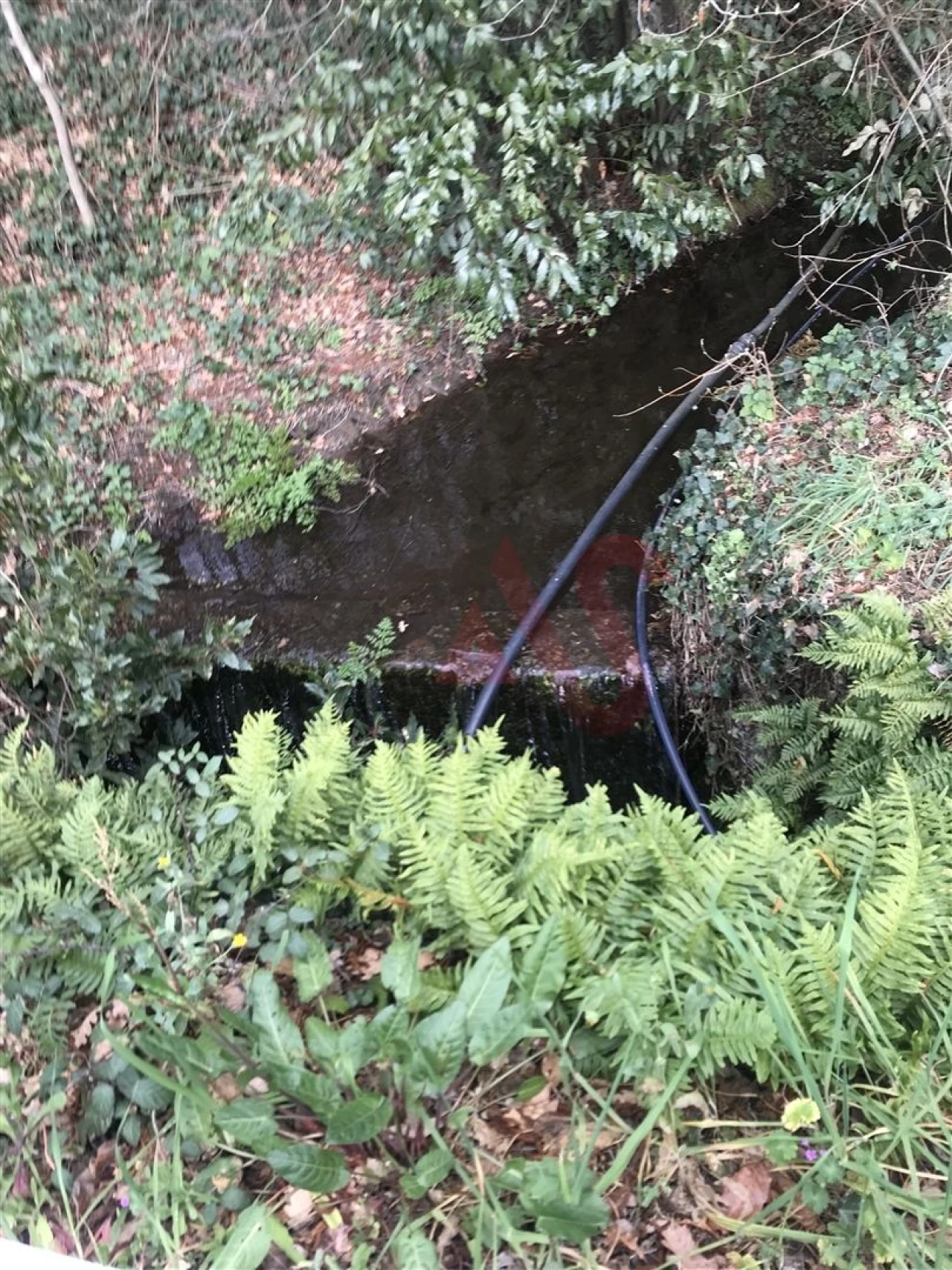 Terreno para Venda em Soalhães Foto 4