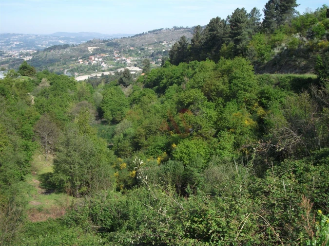 Terreno para Venda em Soalhães Foto 2