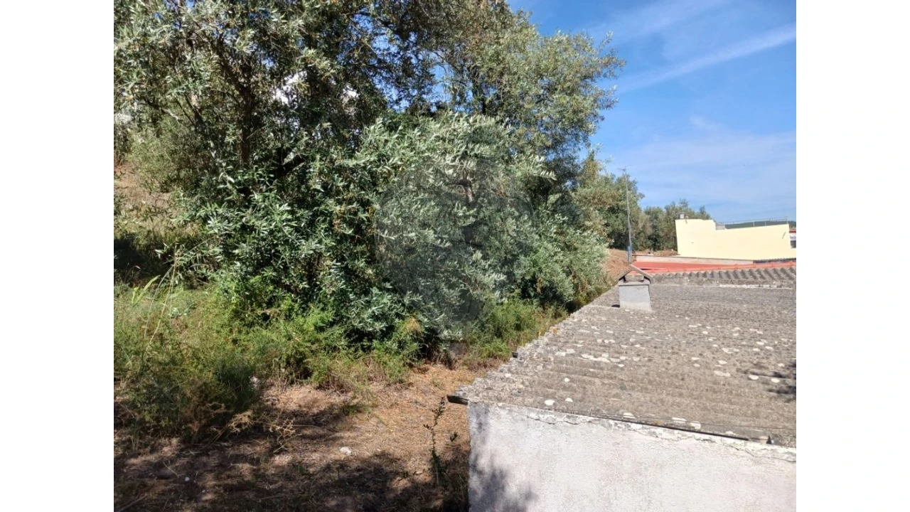 Terreno para Venda em Vila Nova da Barquinha Foto 5