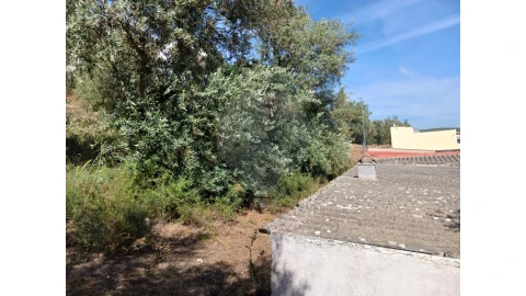 Terreno para Venda em Vila Nova da Barquinha