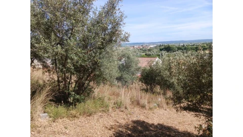 Terreno para Venda em Vila Nova da Barquinha