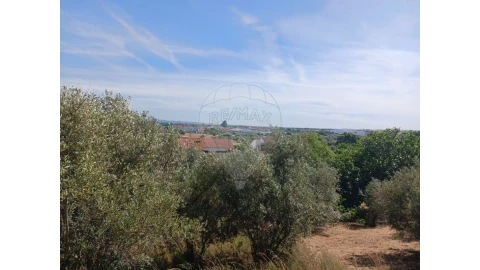 Terreno para Venda em Vila Nova da Barquinha