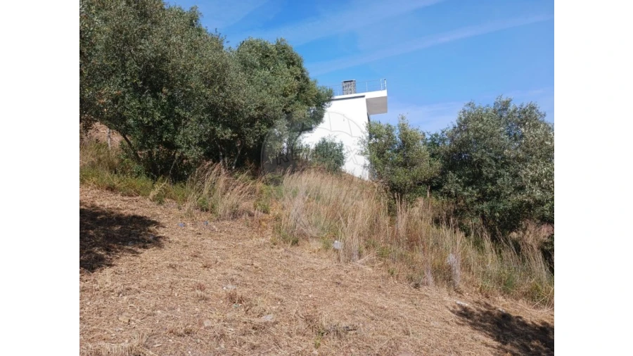 Terreno para Venda em Vila Nova da Barquinha Foto 6