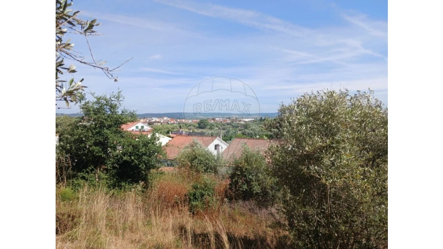 Terreno para Venda em Vila Nova da Barquinha Foto 7