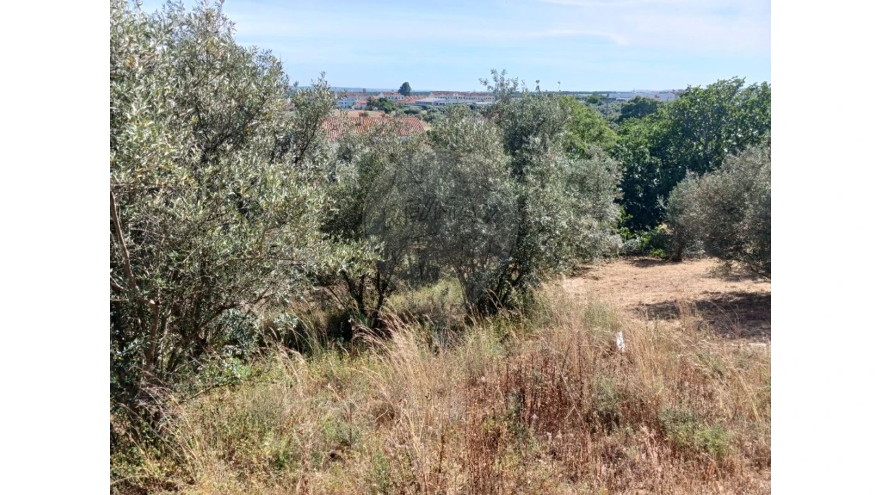 Terreno para Venda em Vila Nova da Barquinha Foto 8