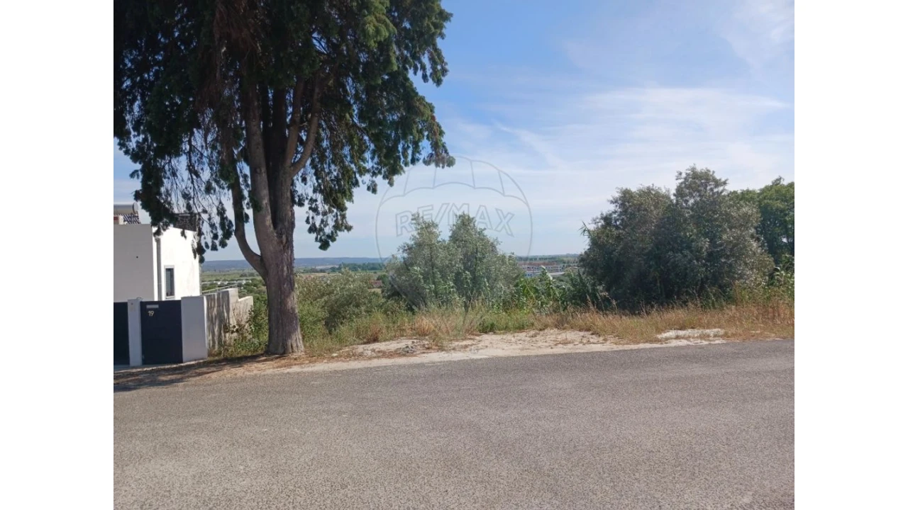 Terreno para Venda em Vila Nova da Barquinha Foto 3