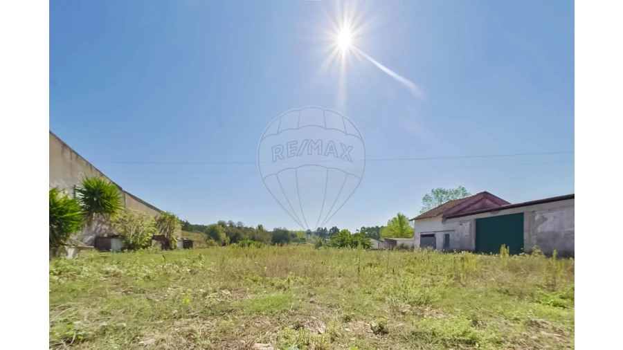 Quinta T2 para Venda em Rio Maior Foto 6