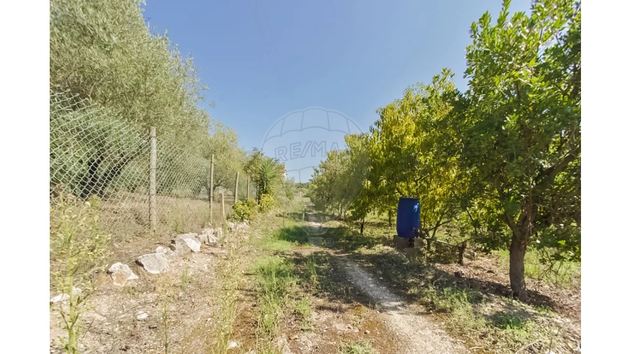 Quinta T2 para Venda em Rio Maior Foto 13